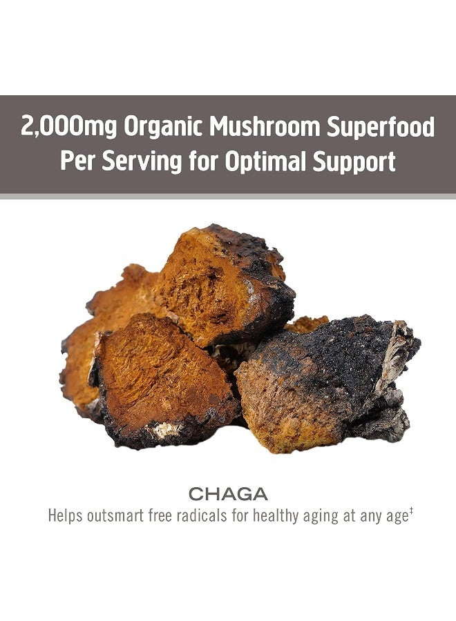 Om Mushroom Superfood OM CHAGA ORGANIC MUSHROOM POWDER 100G - Image 5